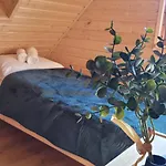 Sekowy *